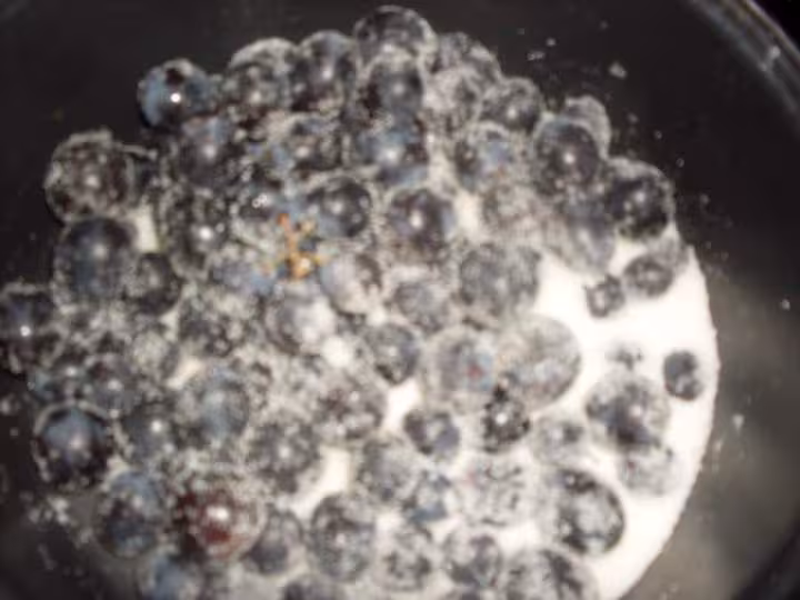 Confiture de raisins muscat