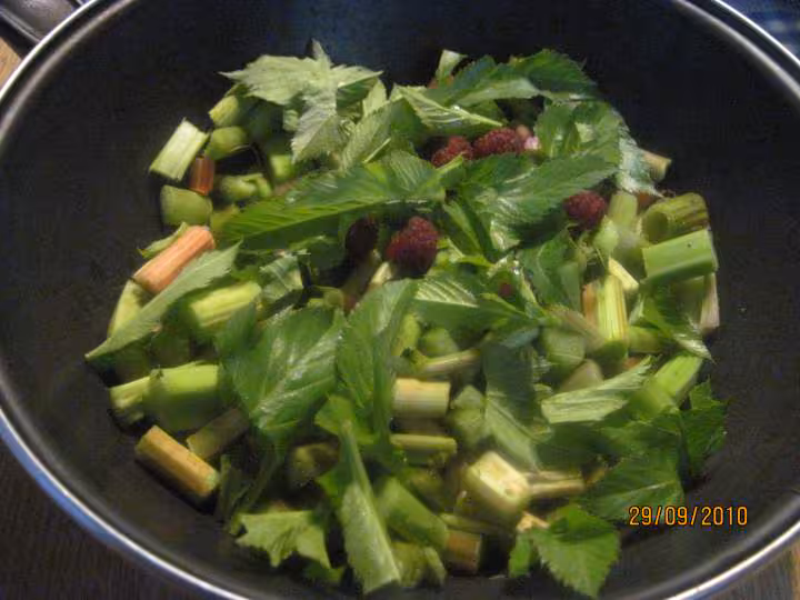 Confiture de rhubarbe et d angelique