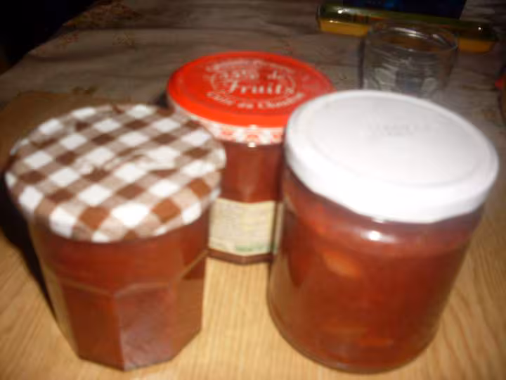 Confiture rhubarbes rouge sur feu de bois
