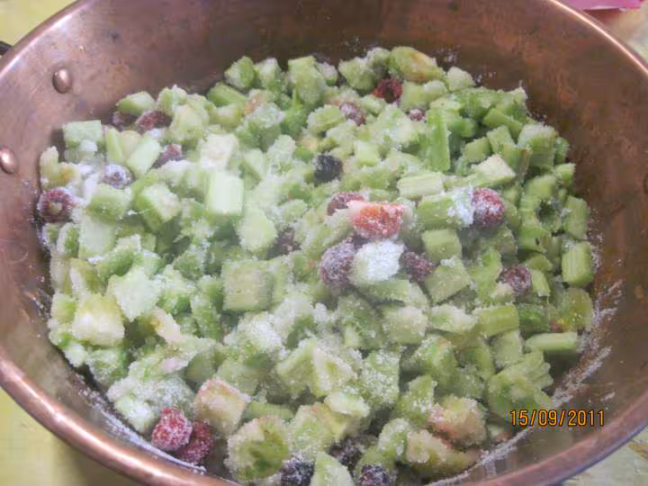 Confiture rhubarbes tomates vertes et fruits rouges