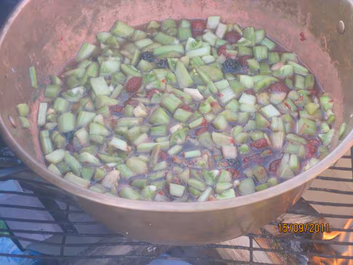 Confiture rhubarbes tomates vertes et fruits rouges