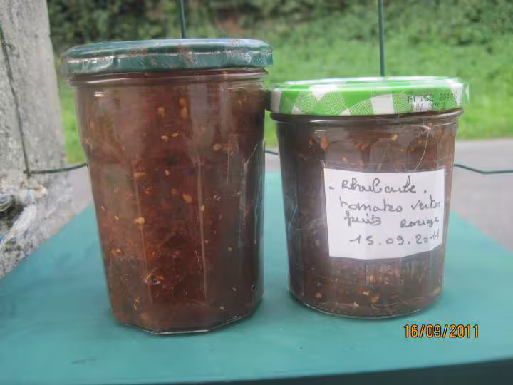 Confiture rhubarbes tomates vertes et fruits rouges
