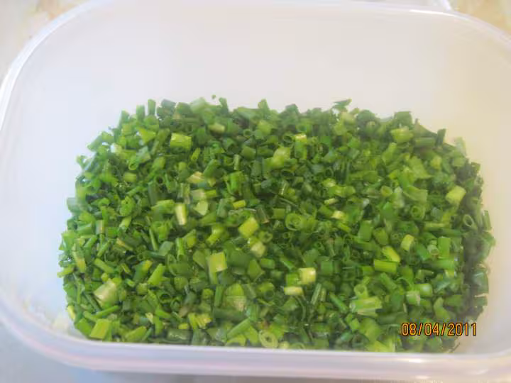 Congelation de ciboulette