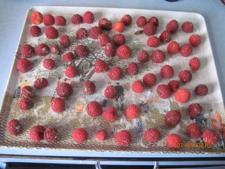 Congelation de framboises