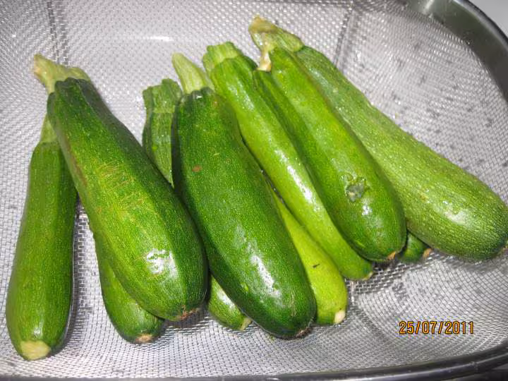 Congelation de petites courgettes