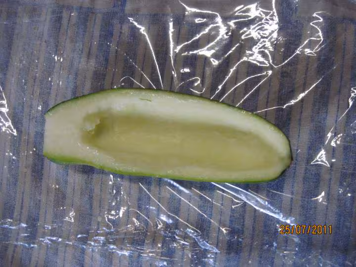 Congelation de petites courgettes