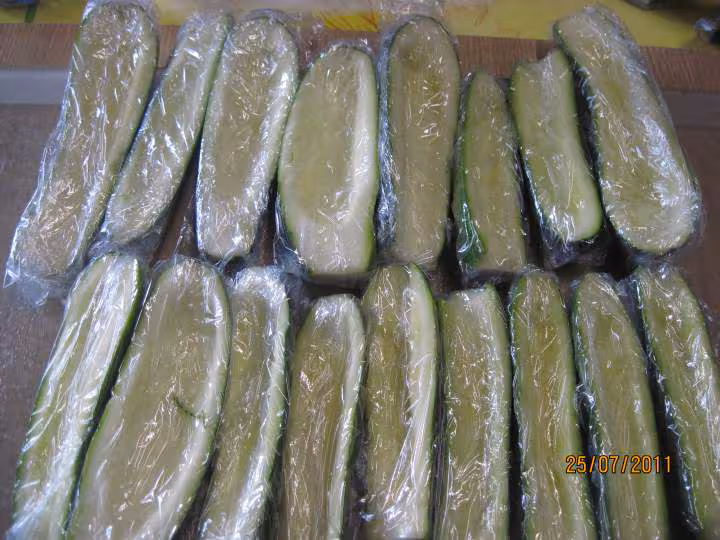 Congelation de petites courgettes