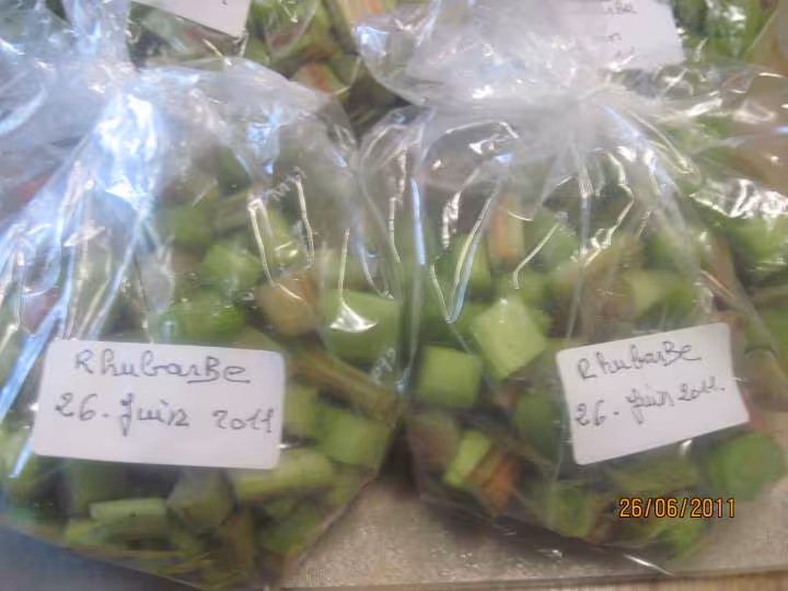 Congelation de rhubarbe