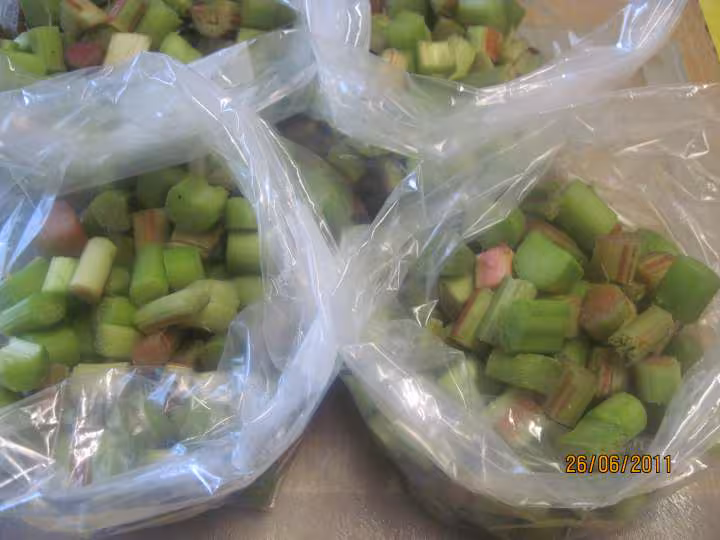 Congelation de rhubarbe