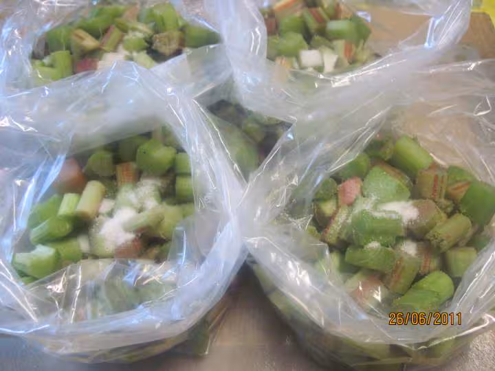Congelation de rhubarbe