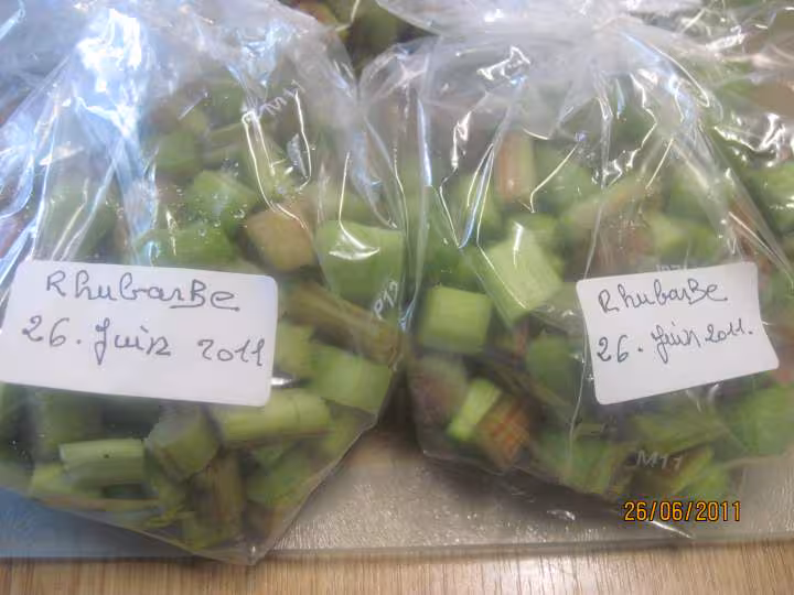 Congelation de rhubarbe
