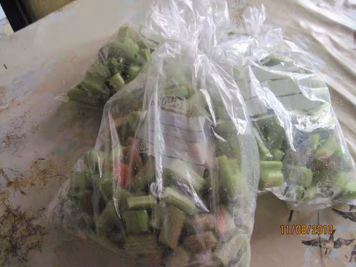 Congelation de rhubarbes fraiches
