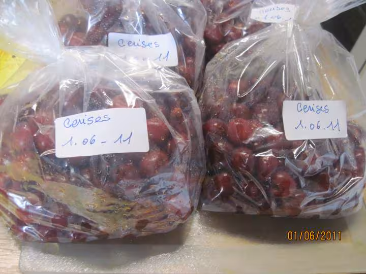 Congelation des cerises