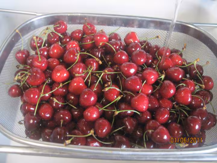 Congelation des cerises