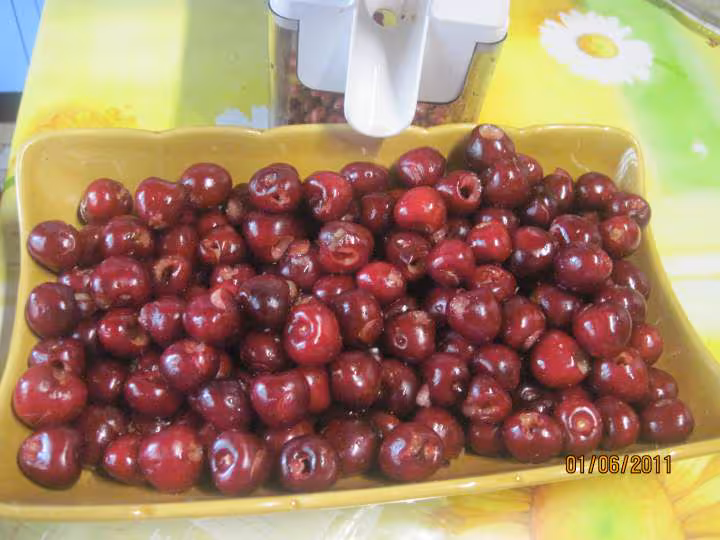 Congelation des cerises