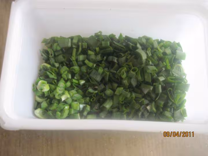 Congelation des cives oignons et echalotes