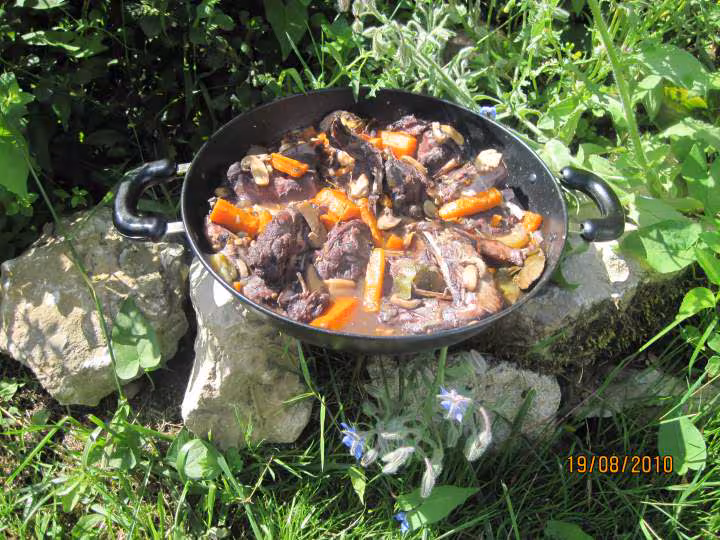 Coq au vin rouge et legumes wok