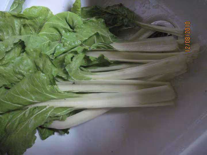 Cotes de blettes gratinees