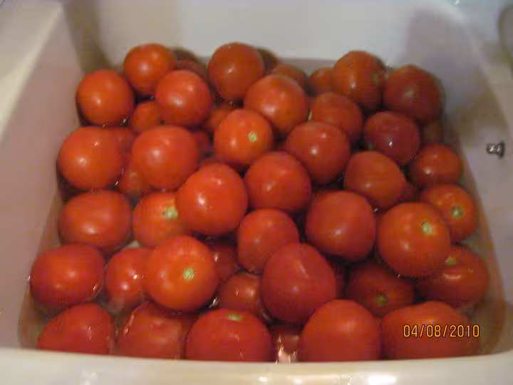 Coulis de tomates assaisonnes