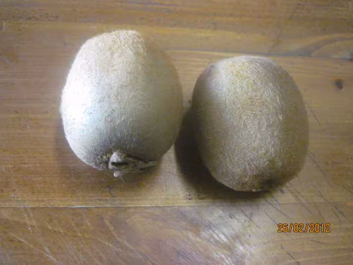 Coupes de glace vanille aux kiwis