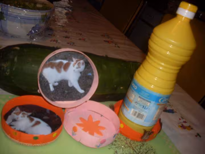 Couvercles poses bouteilles