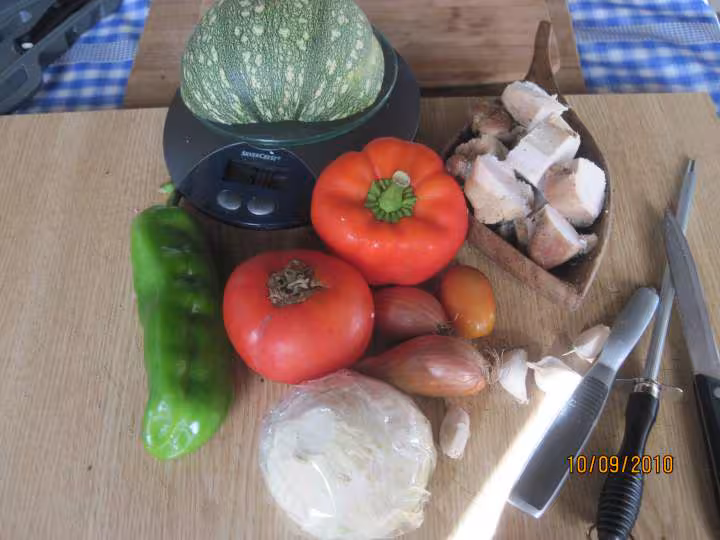 Des de viande de dinde au legumes varies wok