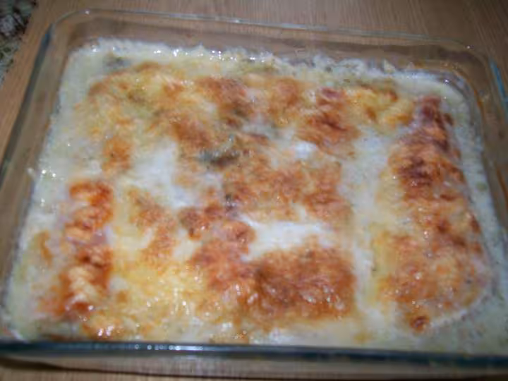 Endives aux jambon en sauce de lait de coco photo