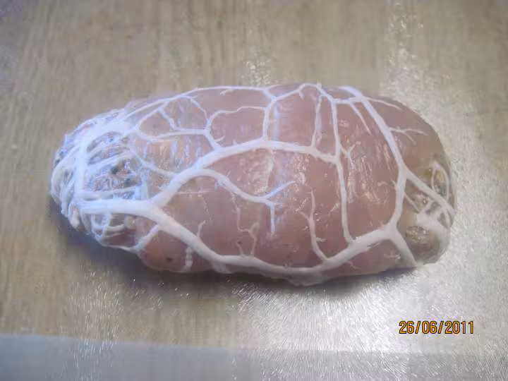 Escalopes de poulet farcies