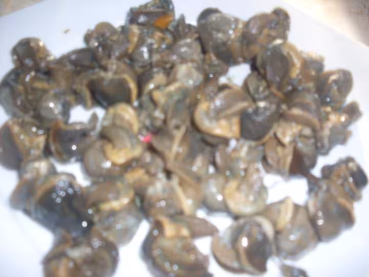 Escargots au vin rouge