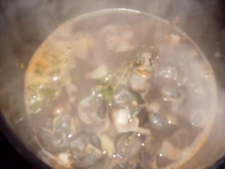 Escargots au vin rouge