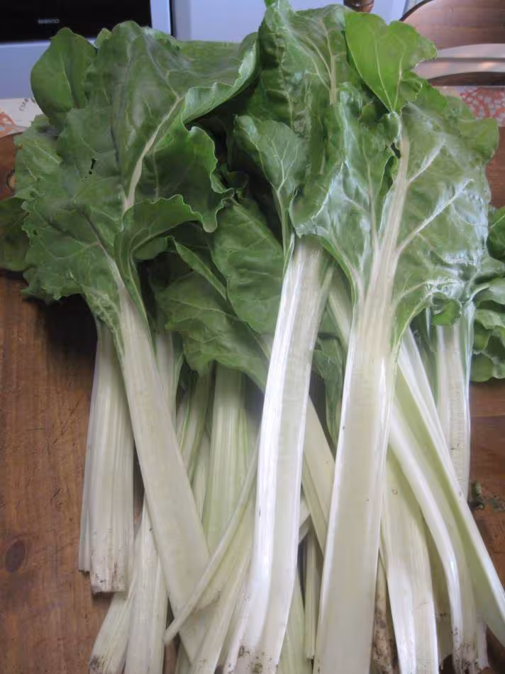 Feuilles de blettes a la sauce mornay