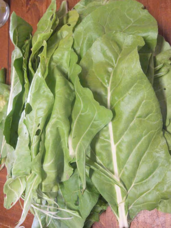Feuilles de blettes a la sauce mornay