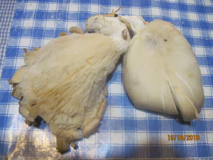 Filets de colin aux champignons beurre persillade