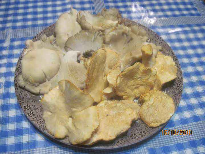 Filets de colin aux champignons beurre persillade