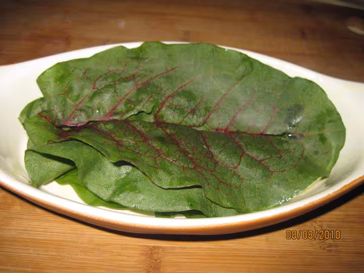 Filets de plie a l oseille rouge mo