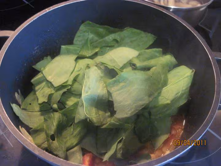 Filets de poisson aux legumes en sauce