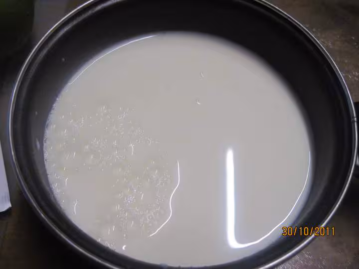 Flan a la vanille aux des de pommes