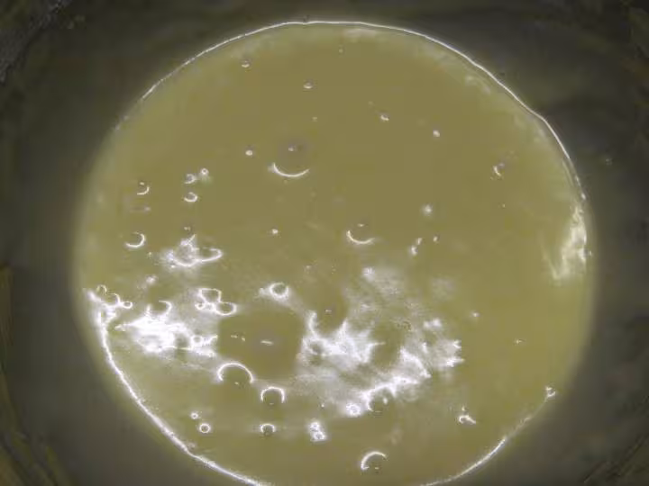 Flan de lait de coco aux pommes