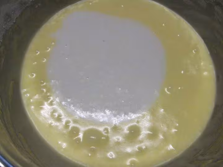 Flan de lait de coco aux pommes