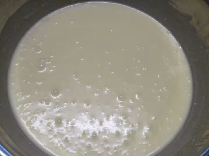 Flan de lait de coco aux pommes