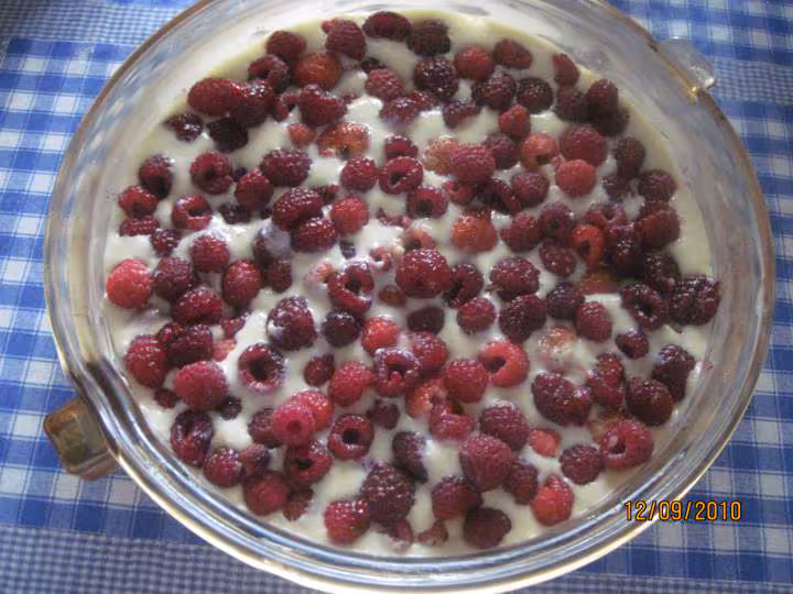 Flanc aux framboises de fromage de brousse