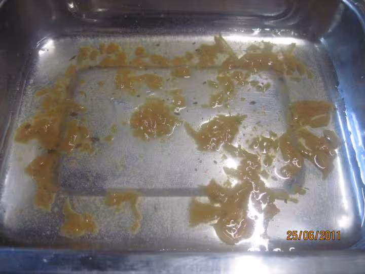 Fleurs de courgettes farcies
