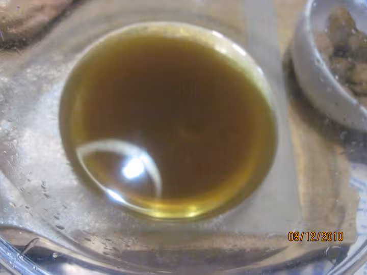 Foie gras aux chataignes maison
