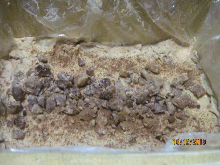 Foie gras aux chataignes maison