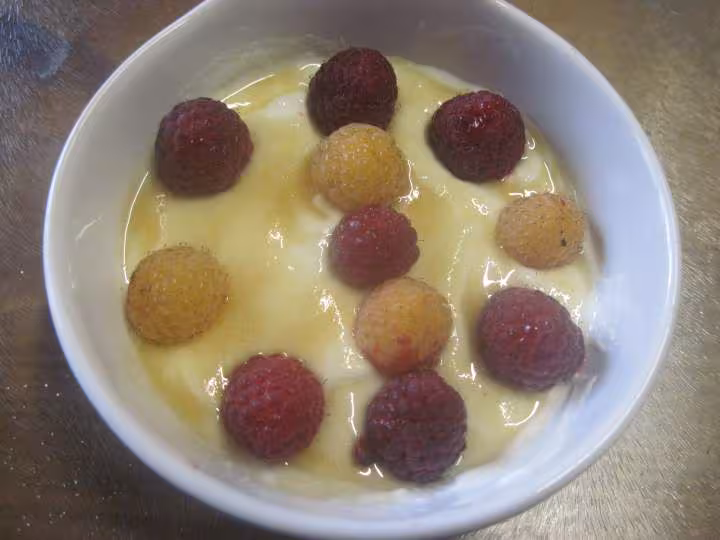 Fromage blanc aux framboises amp chantilly