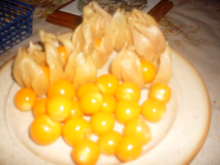 Fruit physalis
