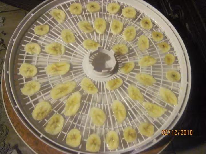 Fruits divers deshydrates photos