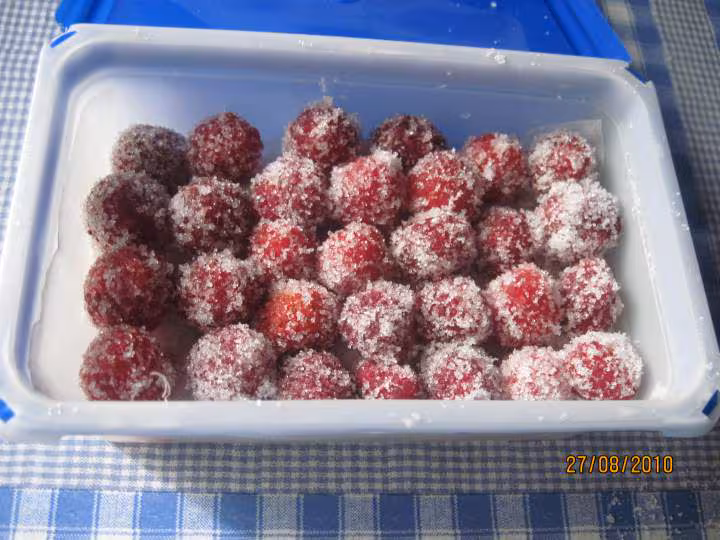 Fruits rouges congeles congelation