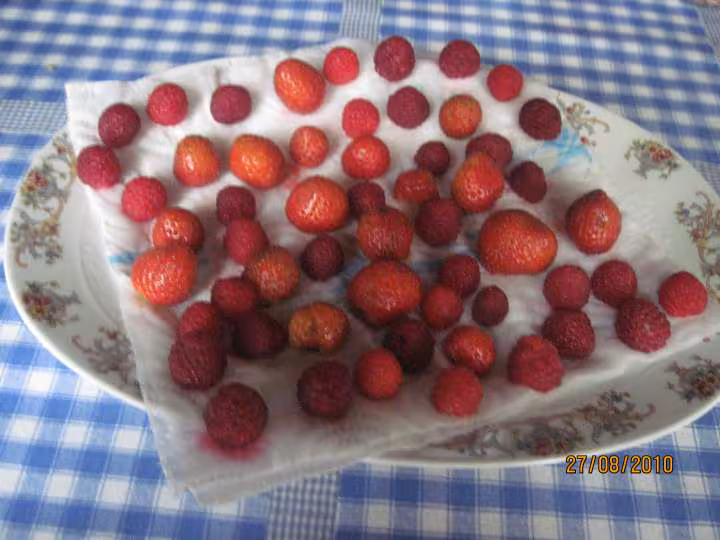 Fruits rouges congeles congelation