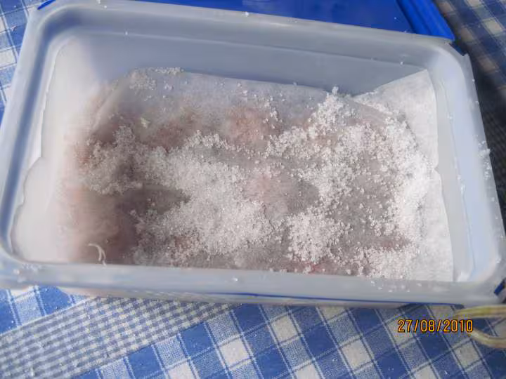 Fruits rouges congeles congelation